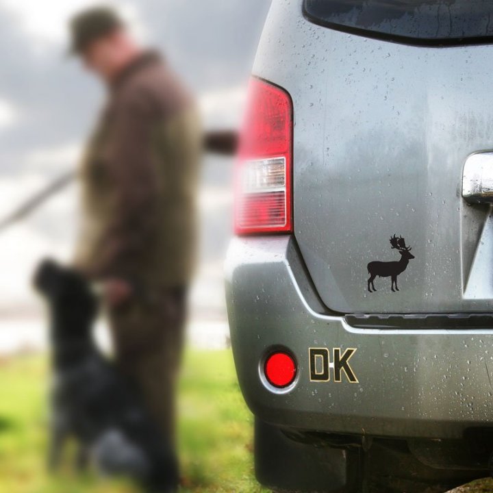 Flot foliemærke af dåhjort til bilen.
