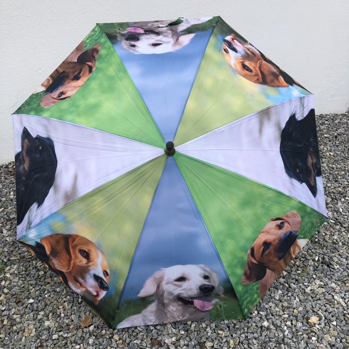 Paraply med hunde