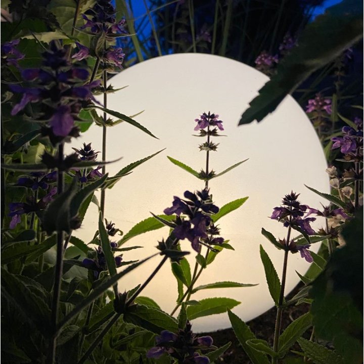 Rund solcellelampe og led lampe til haven