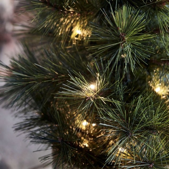Juletræ med lys tilbud