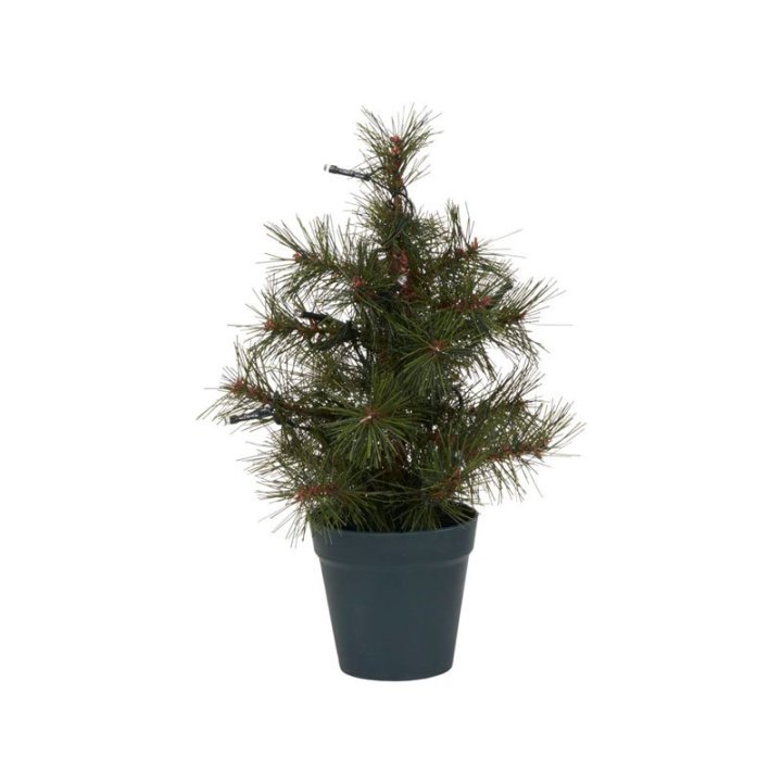 Juletræ tilbud